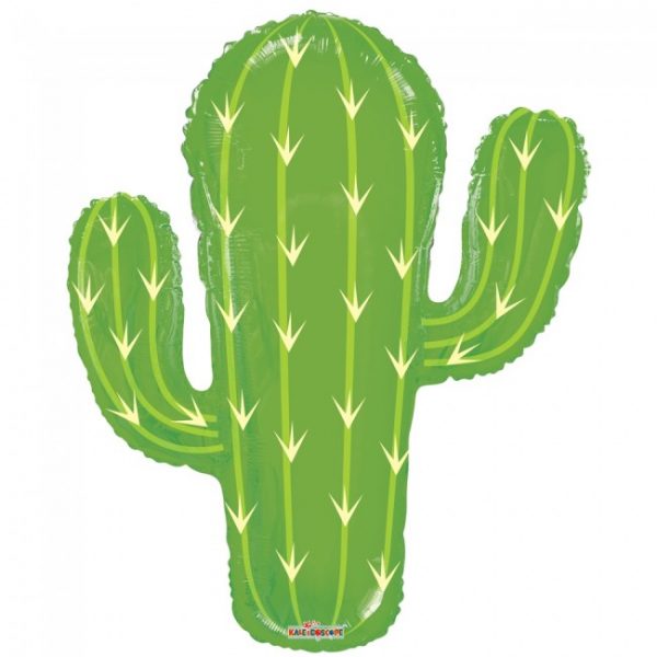 kaktus somiste