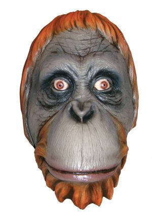 orangin naamari